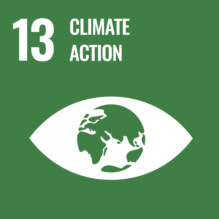 SDG goal badge for climate action