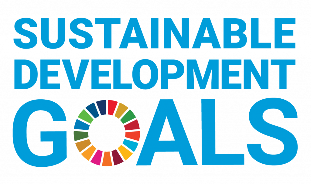 UN SDG logo