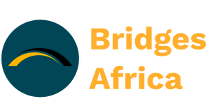 Bridges Africa logo