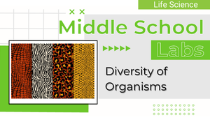 Tile for Diversity of Organisms