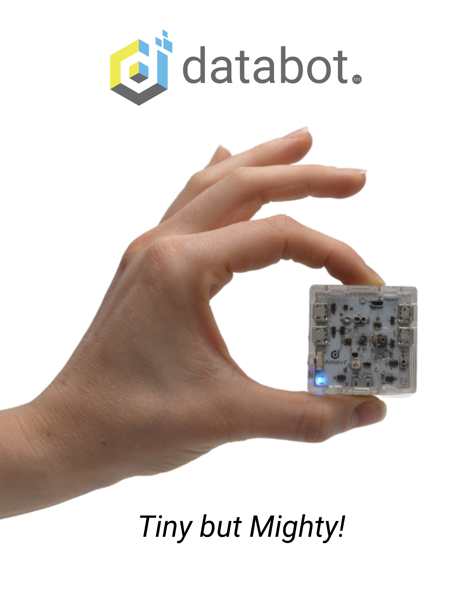 databot held between thumb and forefinger of lovely hand model.