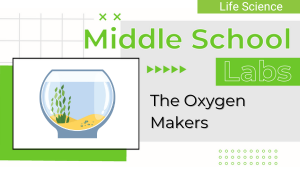 Tile for Middle school labs