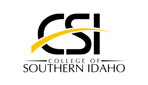 CSI Logo