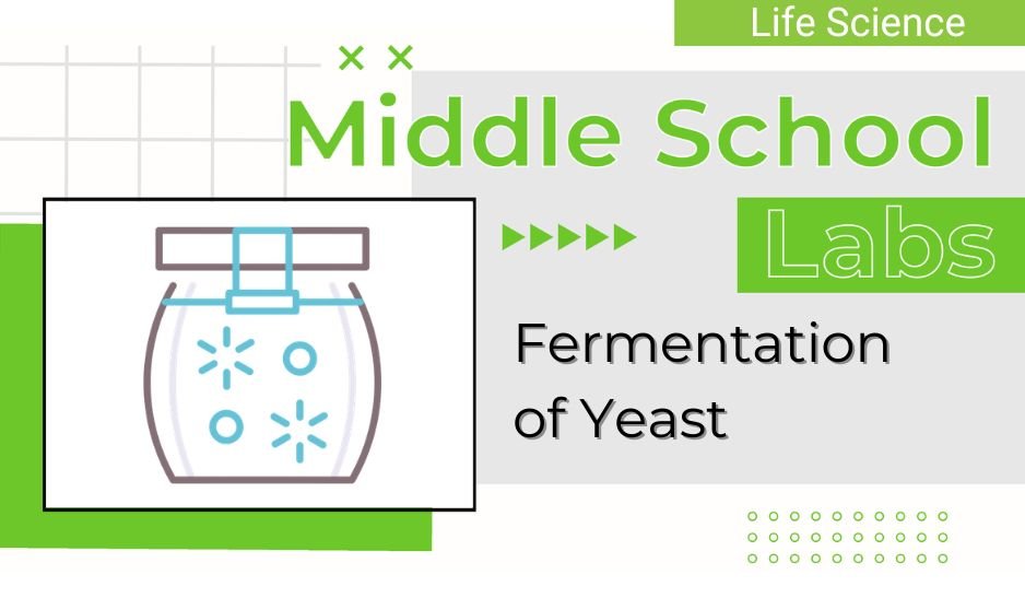 Tile for Fermentation of Yeast