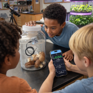 Middle school science students exploring live data collection in a mushroom experiment.